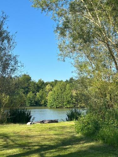 a view of a lake with trees and a grass field at Exclusive Lodge overlooking private lake in Laneuville-à-Rémy