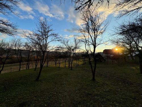 a group of trees with the sunset in the background at Садиба Сикитура in Verkhneye Vodyanoye