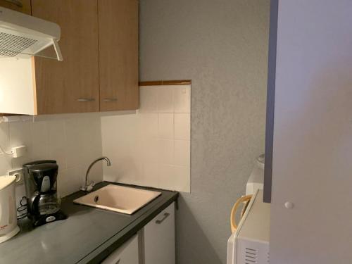 une petite cuisine avec un évier et un micro-ondes dans l'établissement Appartement St Lary Village, à Saint-Lary-Soulan