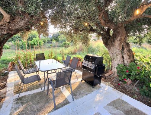 a grill and a table and chairs under a tree at Ermioni Gialova in Gialova