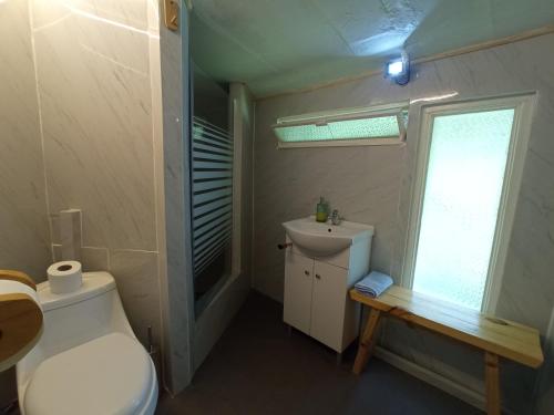 a bathroom with a toilet and a sink and a window at La Frontera Bed & Breakfast, Valle Cochamó in Cochamó