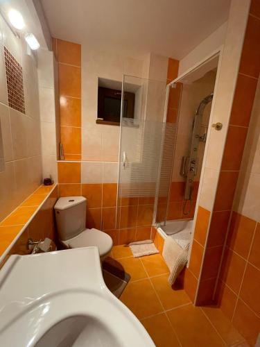 a bathroom with a toilet and a shower at Mlyn Vlachy 1997 in Vlachy