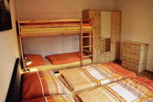 a room with two bunk beds and a closet at Apartment U Lipna Nová Pec in Nová Pec