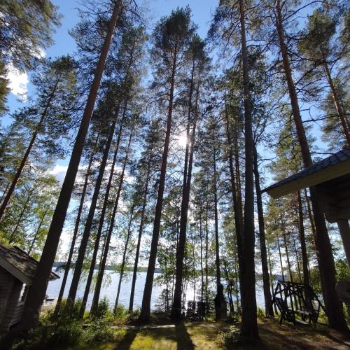 a view of the trees from a cabin at Vacation Home Tulikallio in Suonenjoki