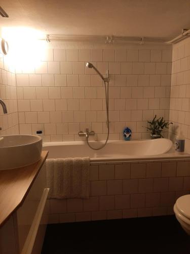 a bathroom with a tub with a shower and a sink at Gezellig souterrain in bollestreek met prive ingang in Hillegom