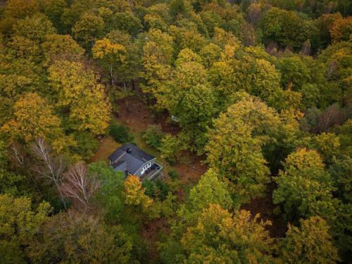 an aerial view of a house in the middle of a forest at Green Villa in Tjörnarp