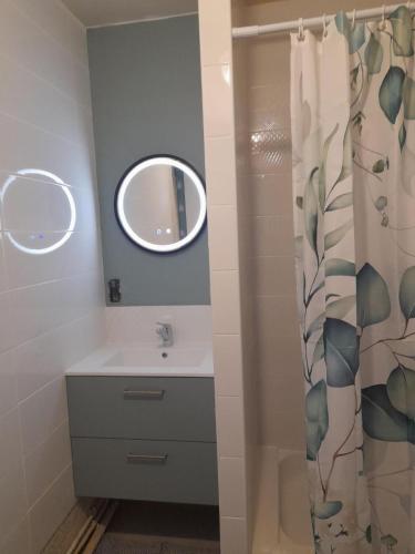 une salle de bain avec un lavabo et un miroir dans l'établissement Le Lioran, à Le Lioran