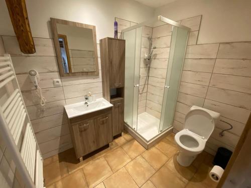 a bathroom with a toilet and a shower and a sink at Apartmán na statku Červený Kostelec in Červený Kostelec