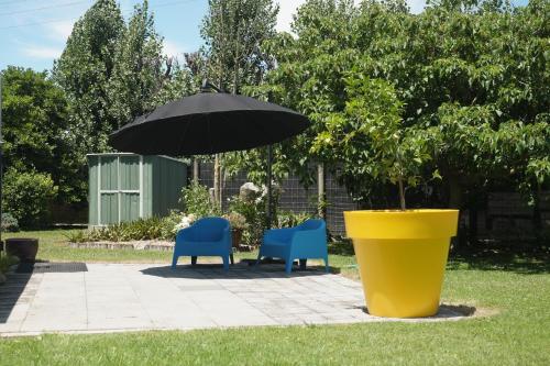 two chairs and an umbrella and a tree in a yard at Evendale House in Hastings