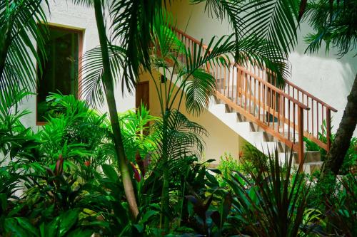 Ein Garten an der Unterkunft Masaya Tayrona & Beach Club