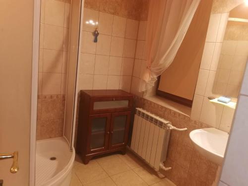 a bathroom with a shower and a toilet and a sink at Spokojna Zagroda in Biały Dunajec