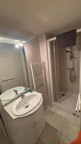 une salle de bain avec un lavabo et une douche dans l'établissement Idéal we, vacances travail, à Sainte-Hélène-sur-Isère