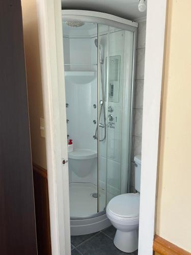 a bathroom with a shower and a toilet at Magellanic House in Puerto Natales
