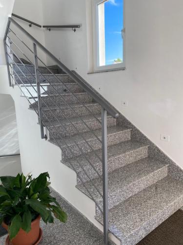 a metal stair railing in a house with a plant at Colline del sole in San Salvo