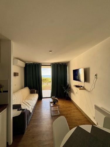 un salon avec un canapé et une télévision dans l'établissement Superbe appartement, à Cannes