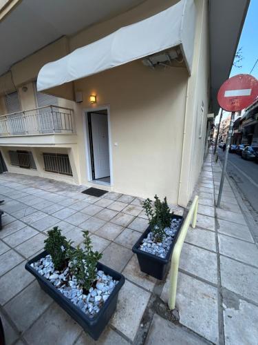 テッサロニキにあるAngelの歩道に鉢植えが二本建てられた建物