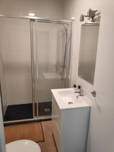 a bathroom with a shower and a sink and a toilet at Habitación doble ALAMEDA CENTRO MACARENA in Seville
