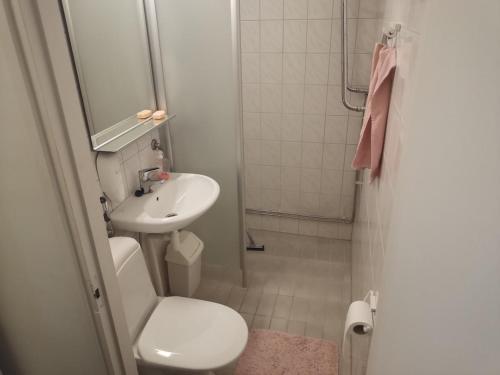 a bathroom with a toilet and a sink at Apartment 137 in Ikaalinen Spa-Hotel, 1st floor in Ikaalinen