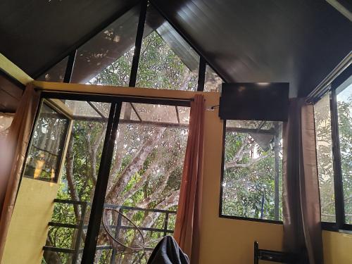 a room with two windows with trees outside at Villa Los Colibrí 11 in Agua Blanca