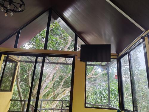 a room with windows and a view of the forest at Villa Los Colibrí 11 in Agua Blanca