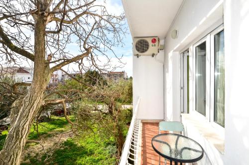 Gallery image of Apartments Sonja in Tučepi