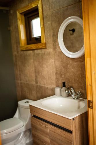 a bathroom with a sink and a toilet and a mirror at Casa Rayen in Puerto Varas