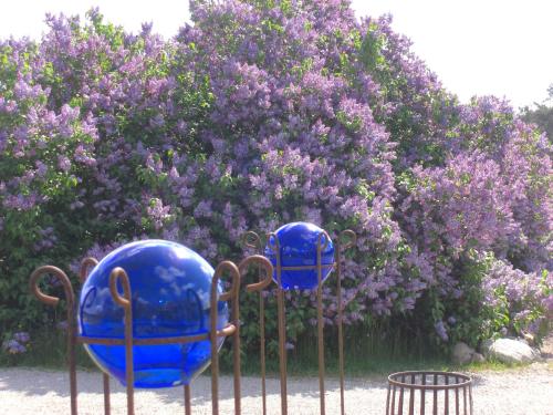two blue vases on a stand in front of purple flowers at Ängshyddan B&B in Yngsjö