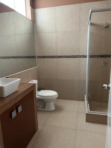 ピウラにあるLos Cocos del Chipe Suitesのトイレ、洗面台、シャワー付きのバスルーム