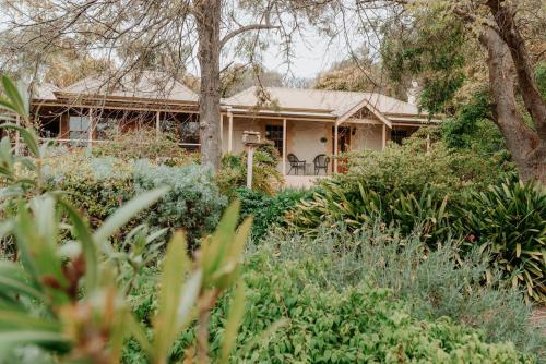 a house with a garden in front of it at Cole-Brook New Cottage - McLaren Vale in McLaren Vale