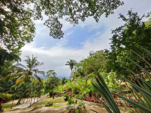 a view of a garden with palm trees at Colibri Parque Tayrona Dentro del Parque Nacional Tayrona in El Zaino