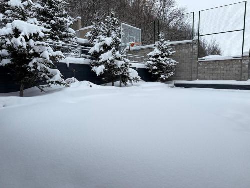 Mountain chalet v zimě