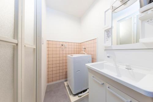 a bathroom with a sink and a toilet and a mirror at SUNNY House in Kashiwa