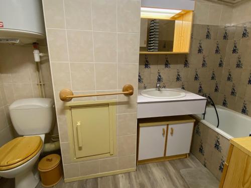 une petite salle de bain avec toilettes et lavabo dans l'établissement Studio au centre station avec balcon et parking gratuit - FR-1-814-12, à Besse-et-Saint-Anastaise