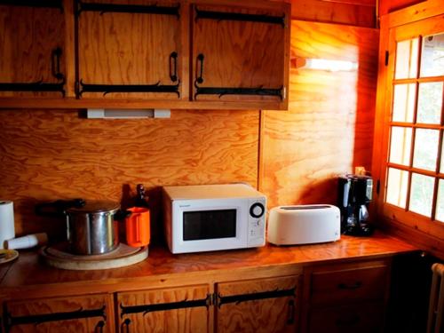 Il comprend une cuisine équipée d'un four micro-ondes et d'un grille-pain. dans l'établissement Chalet atypique près des pistes, 9 pers., sculptures uniques - FR-1-814-49, à Besse-et-Saint-Anastaise