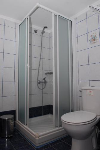 a shower stall in a bathroom with a toilet at Elia Apartments Sithonia in Elia