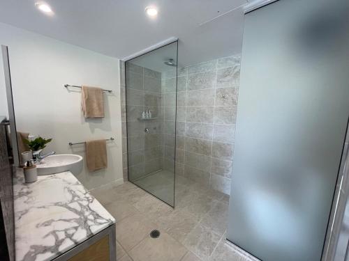 a bathroom with a shower and a sink at Absolutely Lovely Waterfront Apartment 333 in Nelly Bay