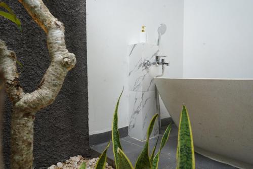 Φωτογραφία από το άλμπουμ του DKelingking Secret Villas σε batumadeg