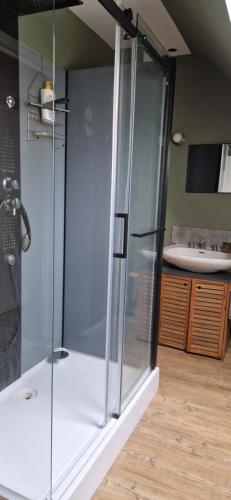 une douche en verre dans une salle de bain avec un lavabo dans l'établissement Grande maison au calme, à Véretz