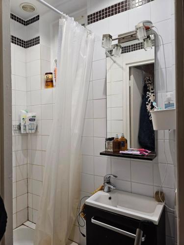 une salle de bain avec un rideau de douche et un lavabo dans l'établissement Buttes Chaumont apartement, à Paris