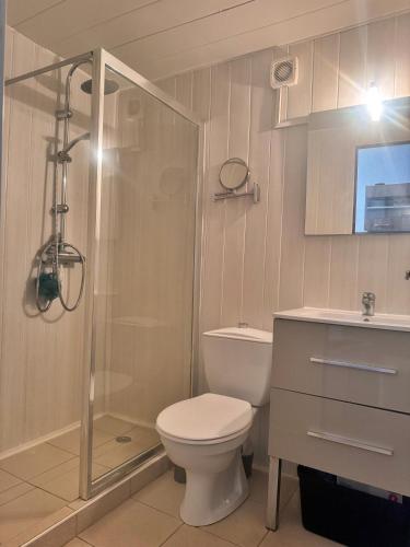une salle de bain avec une douche, des toilettes et un lavabo dans l'établissement Les pieds dans l'eau T2 A, à Calvi