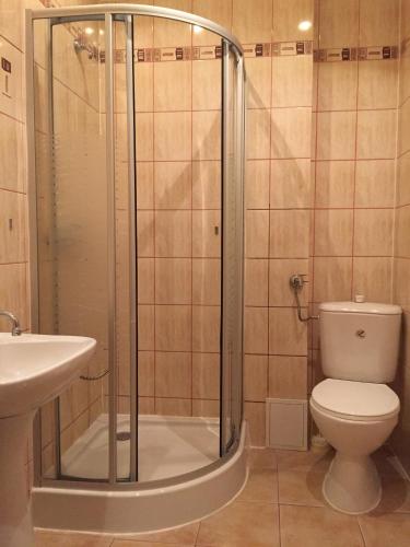a bathroom with a shower and a toilet and a sink at Albatros in Świnoujście
