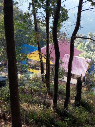 a colorful kite in the middle of some trees at Jungle Crown Organic Homestay in Nagarkot