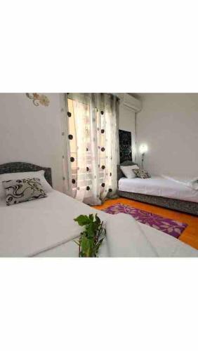 una stanza con due letti e una pianta dentro di Izvor a Budua