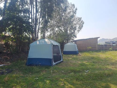 two blue tents sitting in the grass in a field at Hampi One Love in Hampi