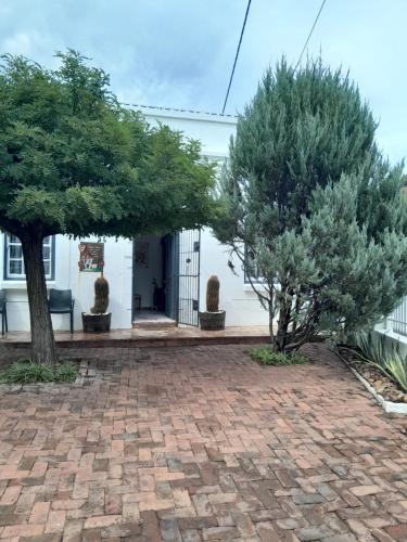 Un jardín fuera de Karoo-Koppie