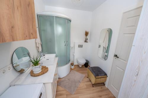 ein Badezimmer mit Glasdusche und Toilette in der Unterkunft Poilsio oazė in Panevėžys