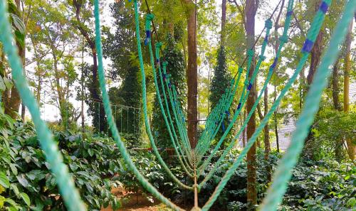 a group of green ropes in a forest at The Grand Retreat - Chikmagalur in Chikmagalūr