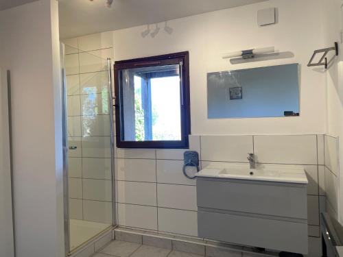 皮耶特罗塞拉Corsicadream cupabia, appartement dans villa proche Porticcio, vue mer, piscine的带水槽和淋浴的浴室