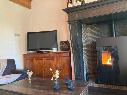 a living room with a fireplace and a television at Hoeve Sterrewijk in Aalter