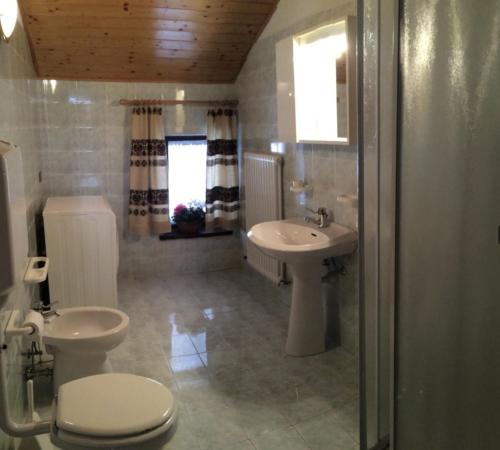 een badkamer met toilet en wastafel bij Altipiani Trentini in Lavarone